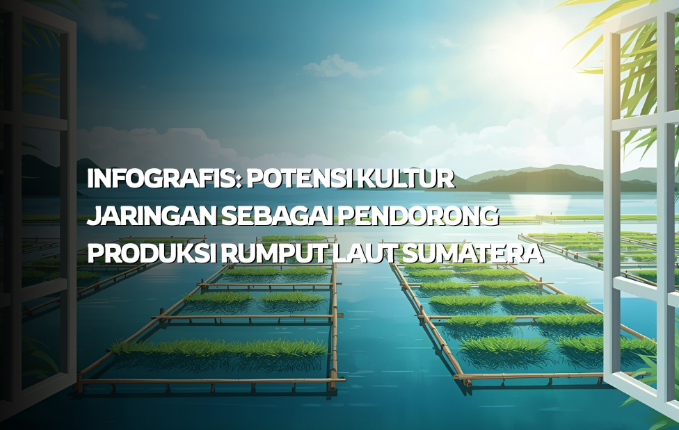 Infografis: Potensi Kultur Jaringan sebagai Pendorong Produksi Rumput Laut Sumatera