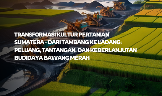 Transformasi Kultur Pertanian Sumatera – Dari Tambang ke Ladang: Peluang, Tantangan, dan Keberlanjutan Budidaya Bawang Merah