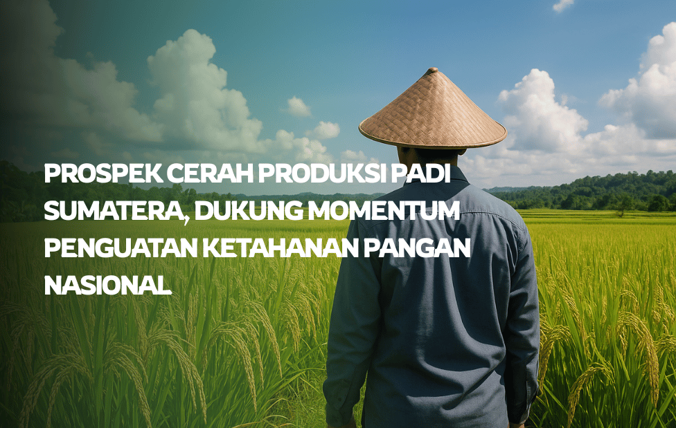 Prospek Cerah Produksi Padi Sumatera, Dukung Momentum Penguatan Ketahanan Pangan Nasional